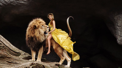 Lady and the Lion King