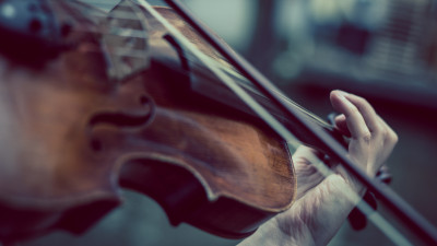 Violin