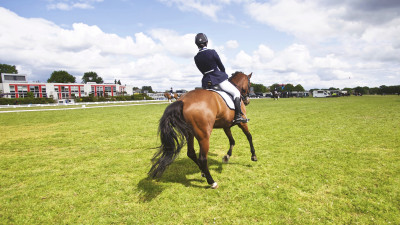 Horse riding