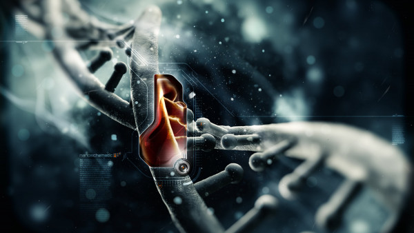 DNA history