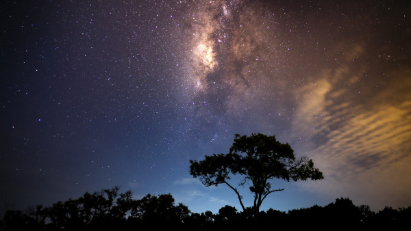 Enjoying the night sky