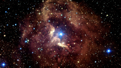 Gum 41 nebula