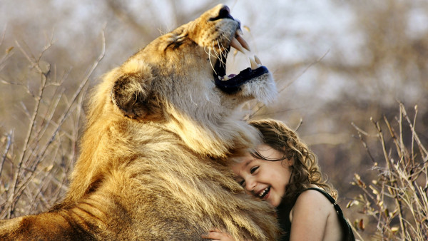 Best friends: lionking and the child