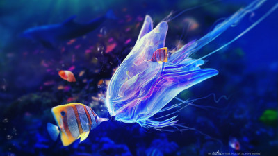 Hot digital art: The mimic