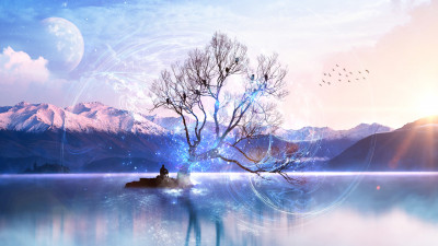 Tree of Wonders