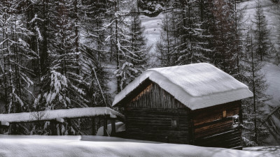The house from the snow forest