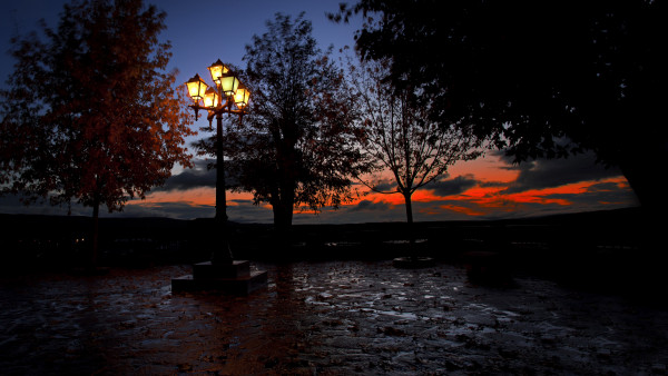 The street lights