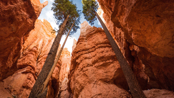 Navajo Loop, Bryce Canyon, Utah