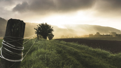 Foggy Summer landscape