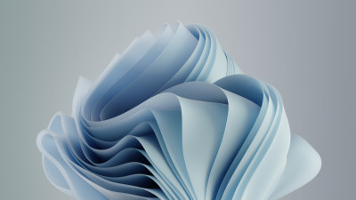 Windows 11