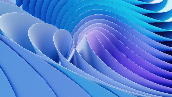 New Windows 11