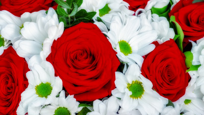 Roses and daisies bouquet