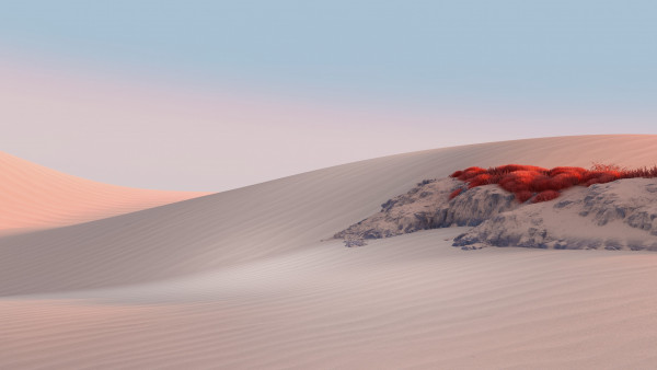 Windows 11 desert