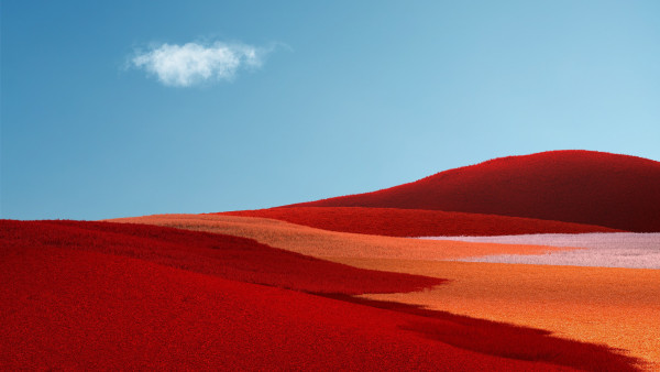 Windows 11 landscape