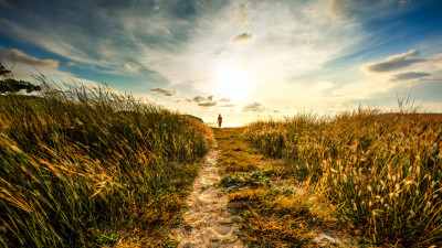 Walk to sunset on the nature path