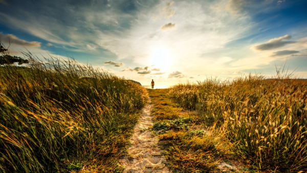 Walk to sunset on the nature path