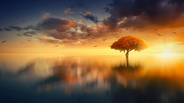 Dreaming summer