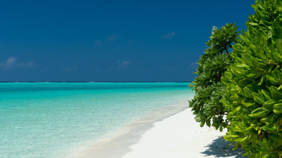 Turquoise waters of Maldives
