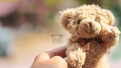Teddy Bear
