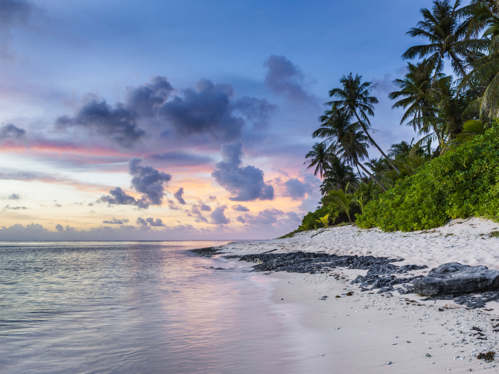 Exotic beach and ocean waves wallpaper 1024x768