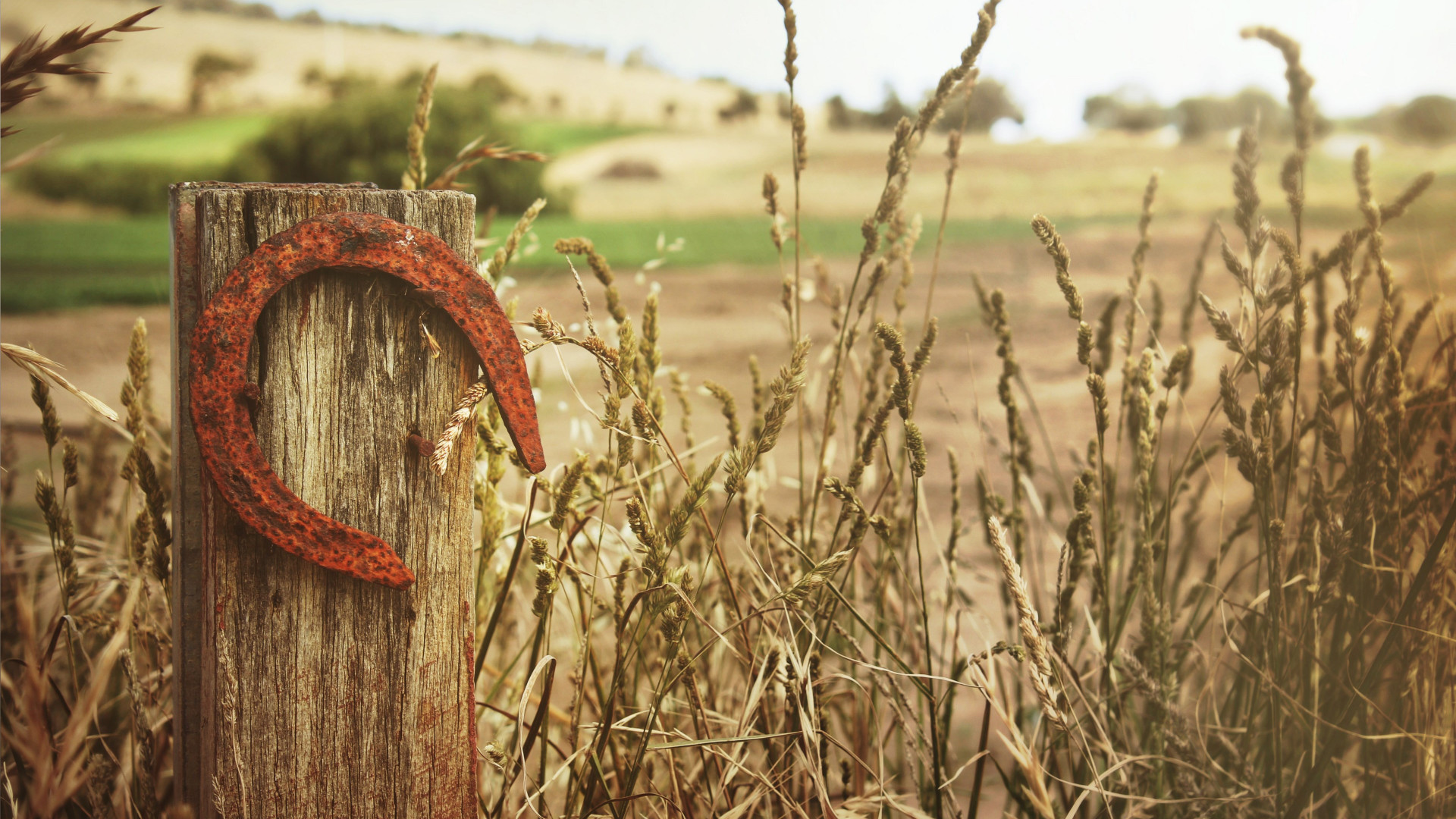 Horseshoe wallpaper 1920x1080